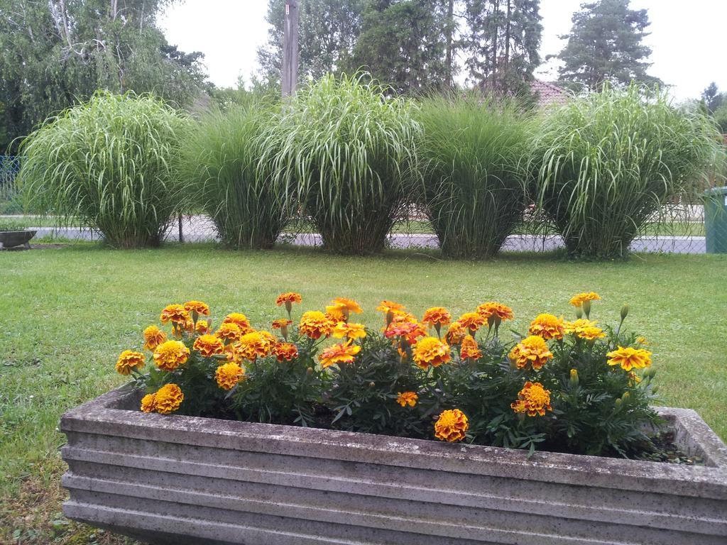Hajas Familia Kiado Szobak Balatonmáriafürdő Buitenkant foto